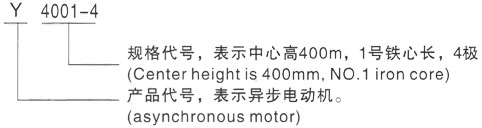 西安泰富西玛Y系列(H355-1000)高压YJTFKK5603-4-1600KW三相异步电机型号说明